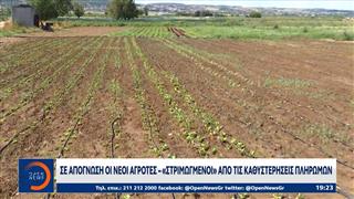 Σε απόγνωση οι νέοι αγρότες - «Στριμωγμένοι» απο τις καθυστερήσεις πληρωμών