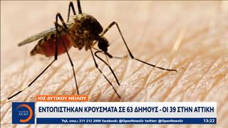 Ιός δυτικού Νείλου: Εντοπίστηκαν κρούσματα σε 63 δήμους - Οι 39 στην Αττική