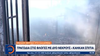 Κόλαση φωτιάς στην Σαλαμίνα: 2 νεκροί - Κάηκαν σπίτια
