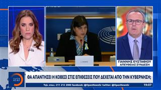 Θα απαντήσει η Κοβέσι στις επιθέσεις που δέχεται από την κυβέρνηση;