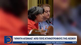 «Κραυγή αγωνίας» από τους κτηνοτρόφους της Λέσβου