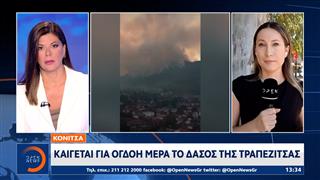 Κόνιτσα: Καίγεται για όγδοη μέρα το δάσος της Τραπεζίτσας