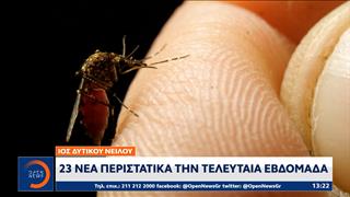 Ιός του Δυτικού Νείλου: 65 κρούσματα στην Αττική – 8 ασθενείς σε ΜΕΘ
