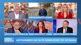 Αντιπαράθεση και για το Πόθεν έσχες του Αυγενάκη