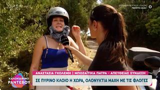 Πάτρα: Έκκληση να βρεθεί ένα φορτηγάκι για τα εγκαταλελειμμένα ζώα
