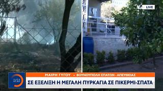 Μάχη με τις φλόγες συνεχίζουν να δίνουν ισχυρές επίγειες και εναέριες δυνάμεις