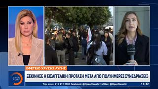 Ξεκίνησε η αντίστροφη μέτρηση για την έκδοση απόφασης της Δικαιοσύνης για τη Χρυσή Αυγή