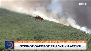 Πύρινος όλεθρος στην Δυτική Αττική - Τα αεροσκάφη μπήκαν ξανά στην μάχη της κατάσβεσης