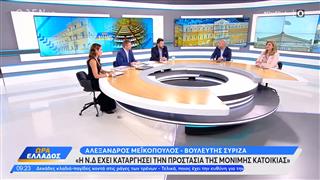 Πολιτική αντιπαράθεση Μιχαηλίδου Μεϊκόπουλο και Λιακούλη για την ακρίβεια και τις εσωκομματικές εξελίξεις