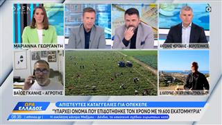 ΟΠΕΚΕΠΕ: Δικογραφία για παράνομες επιδοτήσεις