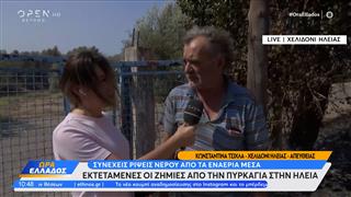 Ηλεία: Μεγάλες ζημιές μετά την πυρκαγιά