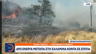 Μεγάλη φωτιά στην Σαλαμίνα κοντά σε σπίτια