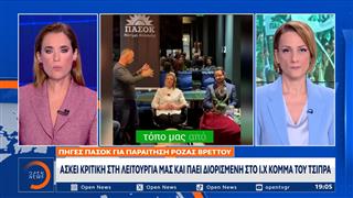 ΠΑΣΟΚ: Παραιτήθηκε η Ρόζα Βρεττού από τον Τομέα Υγείας και το κόμμα