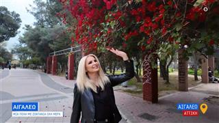 «Happy Hours» με τη Μάγδα Τσέγκου - επεισόδιο 8