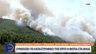 Συνεχίζει το καταστροφικό της έργο η φωτιά στα Βίλια