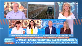 Πολιτική αντιπαράθεση Σκόνδρα, Μαρκογιάννη, Μεταξάς και Πέρκα