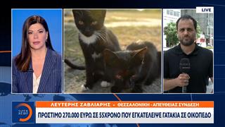 Καλαμαριά: Πρόστιμο 270.000 ευρώ σε 55χρονο που εγκατέλειψε γατάκια σε οικόπεδο