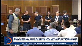 Χρυσή Αυγή: Καταδίκη για όλους τους κατηγορούμενους αποφάσισε το Εφετείο