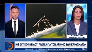 Ιός Δυτικού Νείλου: Στην Αττική τα περισσότερα κρούσματα