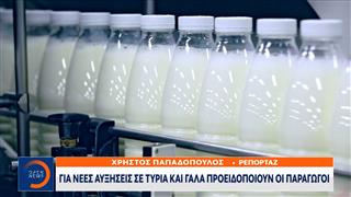 Για νέες αυξήσεις σε τυριά και γαλακτοκομικά προειδοποιούν οι παραγωγοί