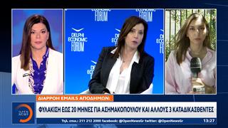 Άννα Μισέλ Ασημακοπούλου: Ποινή 20 μηνών για τα emails απόδημων