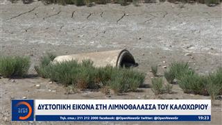 Αποκαρδιωτικές οι εικόνες από τη λιμνοθάλασσα Καλοχωρίου
