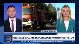 Τελευταία εξέλιξη: Φωτιά σε δασική έκταση στον Κόμιτο Καρύστου