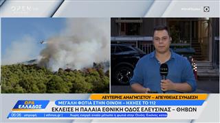 Μεγάλη φωτιά στην Οινόη - Ήχησε το112