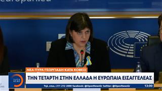 Νέα πυρά Γεωργιάδη κατά Κοβέσι