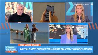 Ανησυχία για τους πνιγμούς στις ελληνικές θάλασσες - Σοκάρουν τα στοιχεία