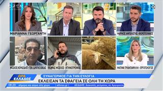 Συναγερμός για την ευλογιά προβάτων – Έκλεισαν τα σφαγεία της χώρας