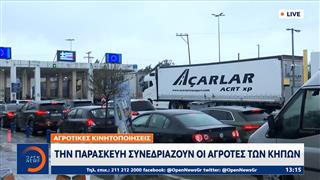 Έβρος: Δεκάδες νταλίκες παραμένουν στο τελωνείο των Κήπων