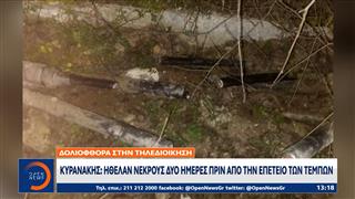 Κυρανάκης: «Ήθελαν νεκρούς δύο ημέρες πριν από την επέτειο των Τεμπών