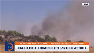 Ψάθα: Σε εξέλιξη η μάχη με τις φλόγες