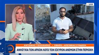 Σίβηρη Χαλκιδικής: Σπίτια,αυτοκίνητα και δάση έγιναν στάχτη