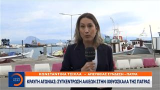 Νέα κινητοποίηση των ψαράδων στην Ιχθυόσκαλα Πάτρας
