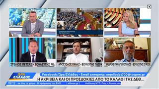 Πολιτική αντιπαράθεση Πέτσας , Πάνας και Παναγιωτόπουλος