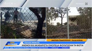 Παλαιά Φώκαια: Άνεμοι και ακαθάριστα οικόπεδα φούντωσαν τη φωτιά