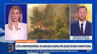 Φωτιά στη Βοιωτία: Στο «μικροσκόπιο» τα αιολικά πάρκα με εισαγγελική παραγγελία