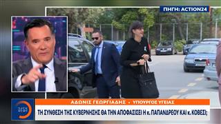 Άδωνης Γεωργιάδης: Σφοδρές κατηγορίες κατά της κ. Παπανδρέου για τον ΟΠΕΚΕΠΕ