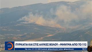 Πυρκαγιές: 112 στον Βόλο – Μάχη με τις φλόγες σε Εύβοια, Κέρκυρα και Έβρο