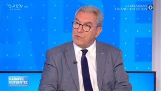 Βασίλης Καπερνάρος: «Το μαιμού βίντεο δεν είναι νομικός όρος»