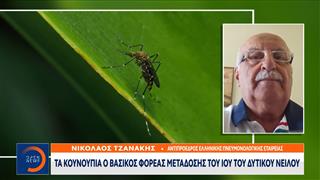 Δεύτερη στην Ευρώπη η Ελλάδα σε κρούσματα ιού του Δυτικού νείλου - Συναγερμός στην Αττική με 157 κρούσματα και 13 νεκρούς
