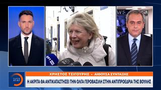 Η Ακρίτα θα αντικαταστήσει την Όλγα Γεροβασίλη στην αντιπροεδρία της Βουλής