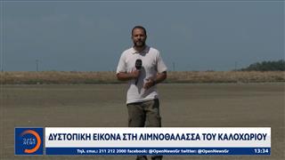 Δυστοπική εικόνα στη λιμνοθάλασσα Καλοχωρίου: Από υγρότοπος ζωής, έγινε έρημος