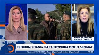 «Κόκκινο πανί» για τα Τουρκικά ΜΜΕ ο Δενδιας