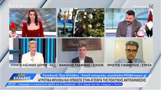 Πολιτική αντιπαράθεση Σδούκου, Γλαβίνα και Γιαννούλη για τον ΟΠΕΚΕΠΕ