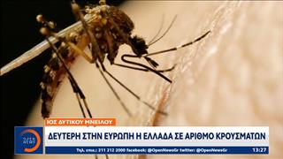 Ιός Δυτικού Νείλου: Δεύτερη στην Ευρώπη η Ελλάδα σε αριθμό κρουσμάτων