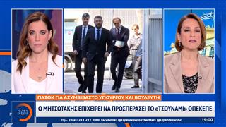 ΠΑΣΟΚ: Ο Μητσοτάκης επιχειρεί να προσπεράσει το «τσουνάμι» ΟΠΕΚΕΠΕ