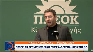 Νίκος Ανδρουλάκης: «Πρέπει να πετύχουμε νίκη στις εκλογές και ήττα της ΝΔ»